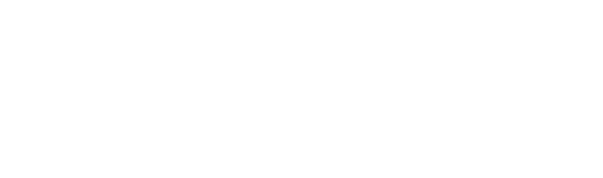 Palusa logo